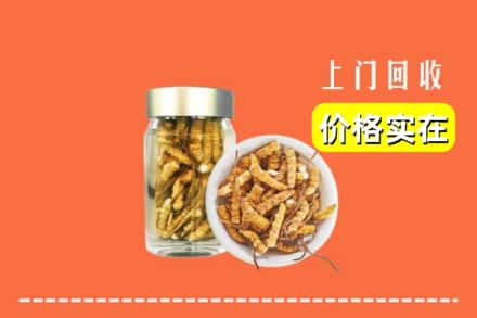 运城市闻喜回收散虫草