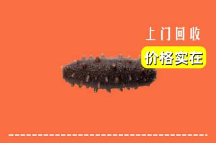 运城市闻喜回收海参
