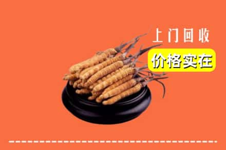 运城市闻喜回收冬虫夏草